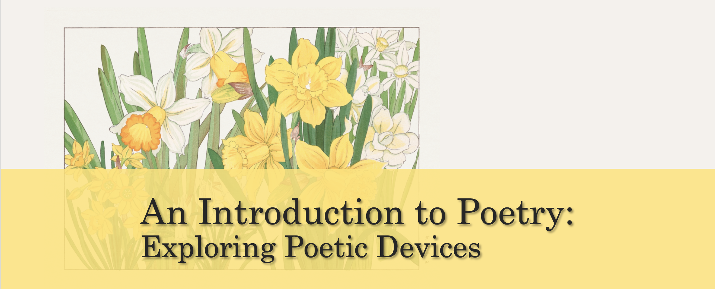 An Introduction to Poetry: Exploring Poetic Devices
